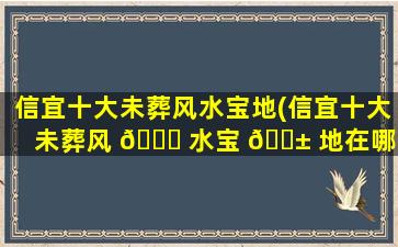 信宜十大未葬风水宝地(信宜十大未葬风 🍁 水宝 🐱 地在哪里)